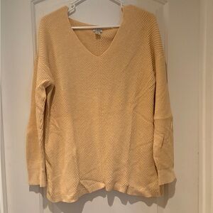 L.L. Bean V-Neck Sweater in Tan